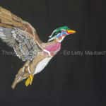 Wood Duck Artwork For Sale